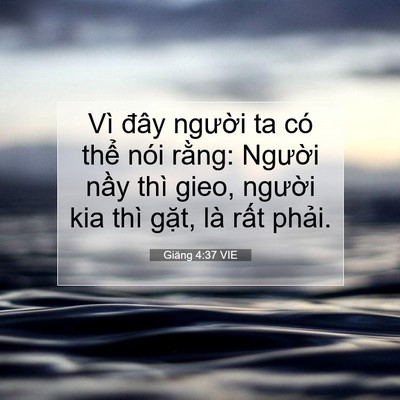 Picture 07 - Giăng 4:37 VIE - Vì đây người ta có thể nói rằng: - Bible Verse Picture