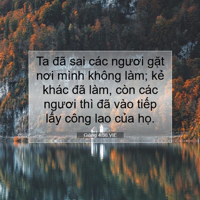 Picture 07 - Giăng 4:38 VIE - Ta đã sai các ngươi gặt nơi mình không - Bible Verse Picture
