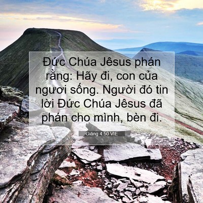 Picture 07 - Giăng 4:50 VIE - Đức Chúa Jêsus phán rằng: Hãy đi, con - Bible Verse Picture