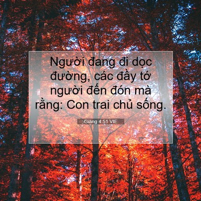 Picture 07 - Giăng 4:51 VIE - Người đang đi dọc đường, các đầy - Bible Verse Picture