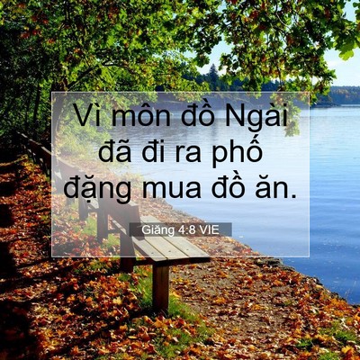 Picture 07 - Giăng 4:8 VIE - Vì môn đồ Ngài đã đi ra phố đặng - Bible Verse Picture