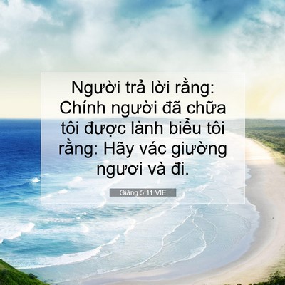 Picture 07 - Giăng 5:11 VIE - Người trả lời rằng: Chính người đã - Bible Verse Picture