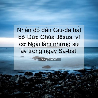 Picture 07 - Giăng 5:16 VIE - Nhân đó dân Giu-đa bắt bớ Đức Chúa - Bible Verse Picture