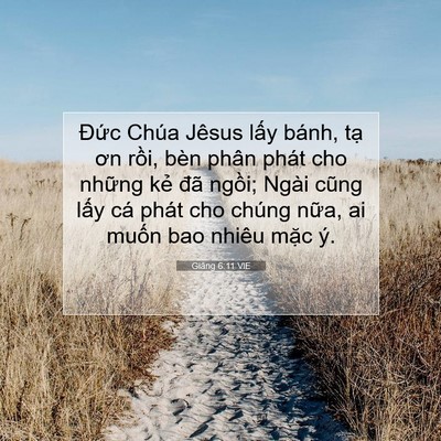 Picture 07 - Giăng 6:11 VIE - Đức Chúa Jêsus lấy bánh, tạ ơn rồi, - Bible Verse Picture