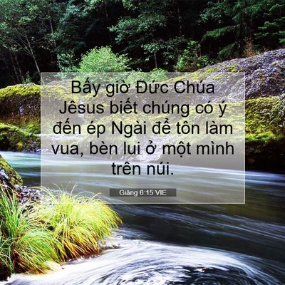 Picture 07 - Giăng 6:15 VIE - Bấy giờ Đức Chúa Jêsus biết chúng có - Bible Verse Picture