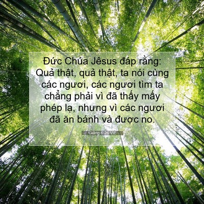 Picture 07 - Giăng 6:26 VIE - Đức Chúa Jêsus đáp rằng: Quả thật, - Bible Verse Picture