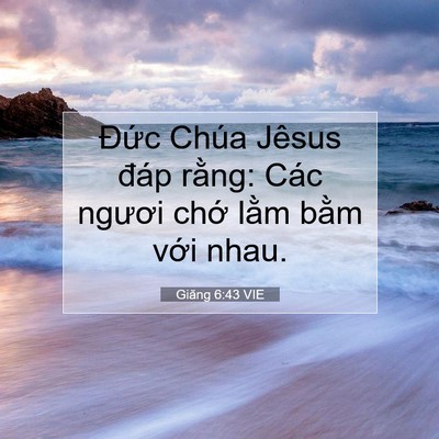 Picture 07 - Giăng 6:43 VIE - Đức Chúa Jêsus đáp rằng: Các ngươi - Bible Verse Picture