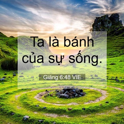 Picture 07 - Giăng 6:48 VIE - Ta là bánh của sự - Bible Verse Picture