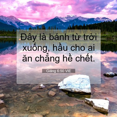 Picture 07 - Giăng 6:50 VIE - Đây là bánh từ trời xuống, hầu cho ai - Bible Verse Picture