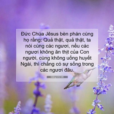 Picture 07 - Giăng 6:53 VIE - Đức Chúa Jêsus bèn phán cùng họ rằng: - Bible Verse Picture