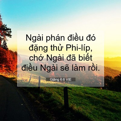 Picture 07 - Giăng 6:6 VIE - Ngài phán điều đó đặng thử Phi-líp, - Bible Verse Picture