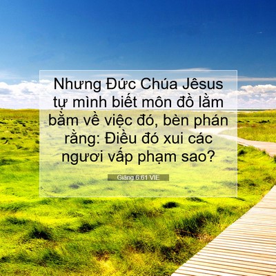 Picture 07 - Giăng 6:61 VIE - Nhưng Đức Chúa Jêsus tự mình biết môn - Bible Verse Picture