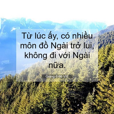 Picture 07 - Giăng 6:66 VIE - Từ lúc ấy, có nhiều môn đồ Ngài - Bible Verse Picture