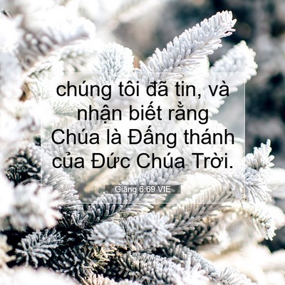 Picture 07 - Giăng 6:69 VIE - chúng tôi đã tin, và nhận biết rằng - Bible Verse Picture