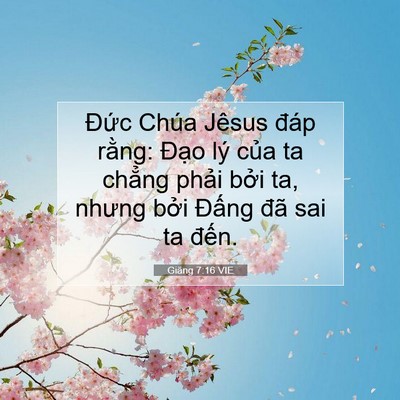 Picture 07 - Giăng 7:16 VIE - Đức Chúa Jêsus đáp rằng: Đạo lý - Bible Verse Picture