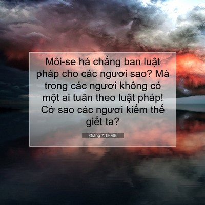 Picture 07 - Giăng 7:19 VIE - Môi-se há chẳng ban luật pháp cho các - Bible Verse Picture
