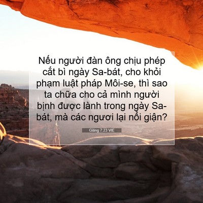 Picture 07 - Giăng 7:23 VIE - Nếu người đàn ông chịu phép cắt bì - Bible Verse Picture