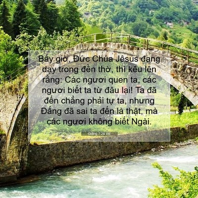 Picture 07 - Giăng 7:28 VIE - Bấy giờ, Đức Chúa Jêsus đang dạy - Bible Verse Picture