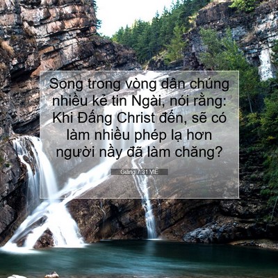 Picture 07 - Giăng 7:31 VIE - Song trong vòng dân chúng nhiều kẻ tin - Bible Verse Picture