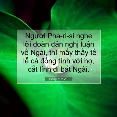Picture 07 - Giăng 7:32 VIE - Người Pha-ri-si nghe lời đoàn dân nghị - Bible Verse Picture