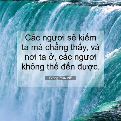 Picture 07 - Giăng 7:34 VIE - Các ngươi sẽ kiếm ta mà chẳng thấy, - Bible Verse Picture