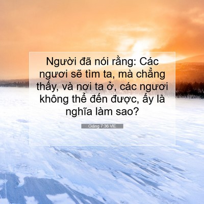 Picture 07 - Giăng 7:36 VIE - Người đã nói rằng: Các ngươi sẽ tìm - Bible Verse Picture