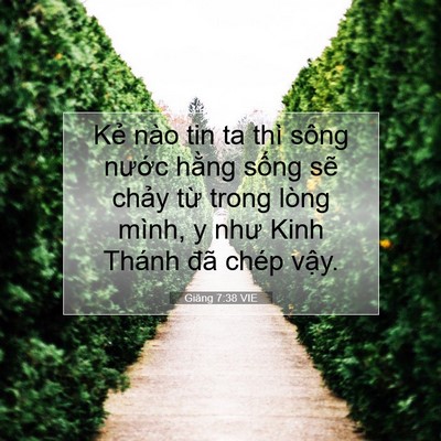Picture 07 - Giăng 7:38 VIE - Kẻ nào tin ta thì sông nước hằng sống - Bible Verse Picture
