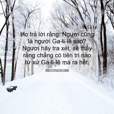 Picture 07 - Giăng 7:52 VIE - Họ trả lời rằng: Ngươi cũng là - Bible Verse Picture