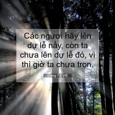 Picture 07 - Giăng 7:8 VIE - Các ngươi hãy lên dự lễ nầy, còn ta - Bible Verse Picture