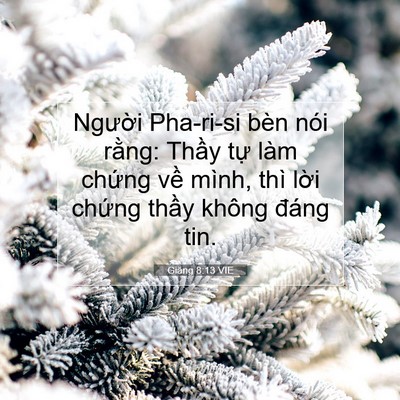 Picture 07 - Giăng 8:13 VIE - Người Pha-ri-si bèn nói rằng: Thầy tự - Bible Verse Picture