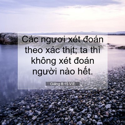 Picture 07 - Giăng 8:15 VIE - Các ngươi xét đoán theo xác thịt; ta - Bible Verse Picture