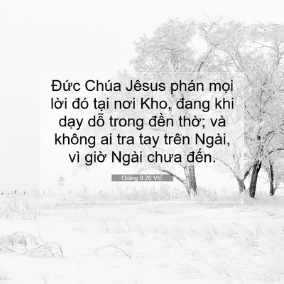 Picture 07 - Giăng 8:20 VIE - Đức Chúa Jêsus phán mọi lời đó tại - Bible Verse Picture