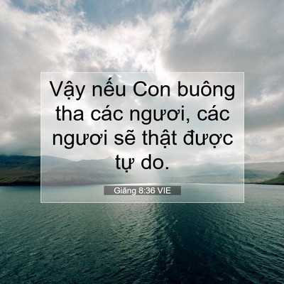 Picture 07 - Giăng 8:36 VIE - Vậy nếu Con buông tha các ngươi, các - Bible Verse Picture