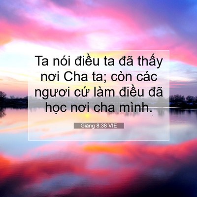 Picture 07 - Giăng 8:38 VIE - Ta nói điều ta đã thấy nơi Cha ta; còn - Bible Verse Picture