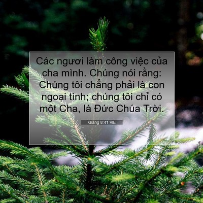 Picture 07 - Giăng 8:41 VIE - Các ngươi làm công việc của cha mình. - Bible Verse Picture