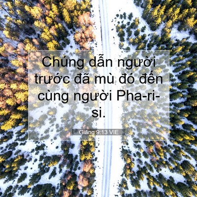 Picture 07 - Giăng 9:13 VIE - Chúng dẫn người trước đã mù đó - Bible Verse Picture
