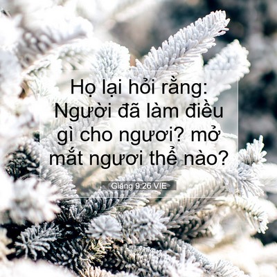 Picture 07 - Giăng 9:26 VIE - Họ lại hỏi rằng: Người đã làm - Bible Verse Picture