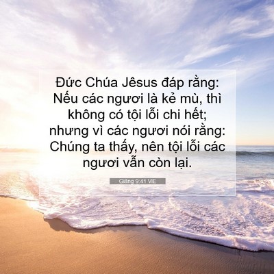 Picture 07 - Giăng 9:41 VIE - Đức Chúa Jêsus đáp rằng: Nếu các - Bible Verse Picture