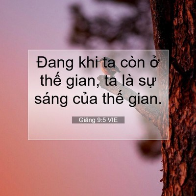 Picture 07 - Giăng 9:5 VIE - Đang khi ta còn ở thế gian, ta là sự - Bible Verse Picture