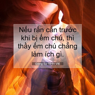 Picture 07 - Giảng Sư 10:11 VIE - Nếu rắn cắn trước khi bị ếm chú, - Bible Verse Picture