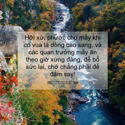 Picture 07 - Giảng Sư 10:17 VIE - Hỡi xứ, phước cho mầy khi có vua là - Bible Verse Picture