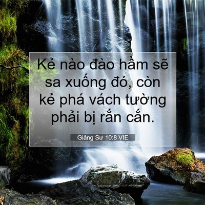Picture 07 - Giảng Sư 10:8 VIE - Kẻ nào đào hầm sẽ sa xuống đó, còn - Bible Verse Picture