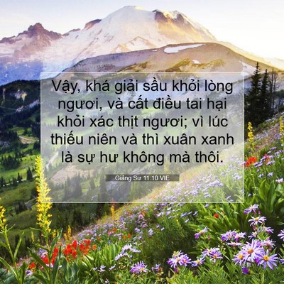 Picture 07 - Giảng Sư 11:10 VIE - Vậy, khá giải sầu khỏi lòng ngươi, - Bible Verse Picture