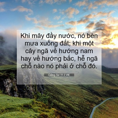 Picture 07 - Giảng Sư 11:3 VIE - Khi mây đầy nước, nó bèn mưa xuống - Bible Verse Picture