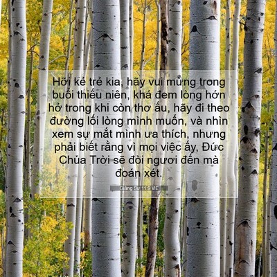 Picture 07 - Giảng Sư 11:9 VIE - Hỡi kẻ trẻ kia, hãy vui mừng trong - Bible Verse Picture