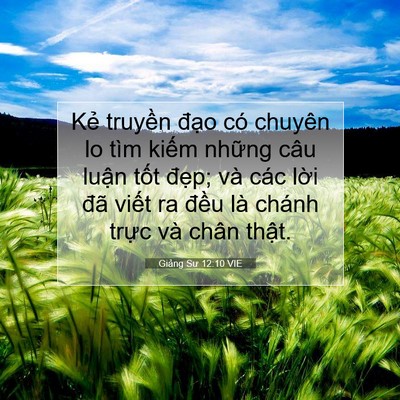 Picture 07 - Giảng Sư 12:10 VIE - Kẻ truyền đạo có chuyên lo tìm kiếm - Bible Verse Picture