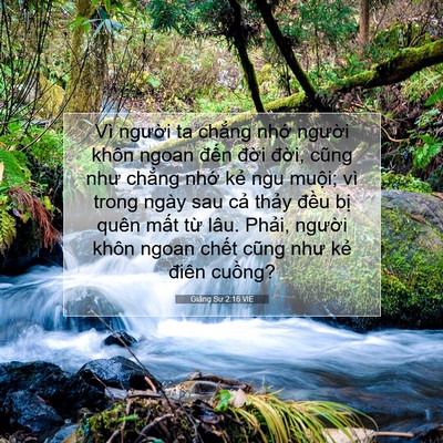 Picture 07 - Giảng Sư 2:16 VIE - Vì người ta chẳng nhớ người khôn - Bible Verse Picture