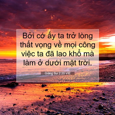 Picture 07 - Giảng Sư 2:20 VIE - Bởi cớ ấy ta trở lòng thất vọng về - Bible Verse Picture