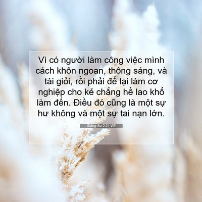 Picture 07 - Giảng Sư 2:21 VIE - Vì có người làm công việc mình cách - Bible Verse Picture