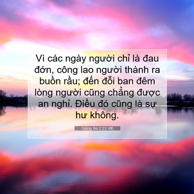 Picture 07 - Giảng Sư 2:23 VIE - Vì các ngày người chỉ là đau đớn, - Bible Verse Picture